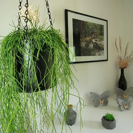 Appartamento Haus Felix Bad Elster