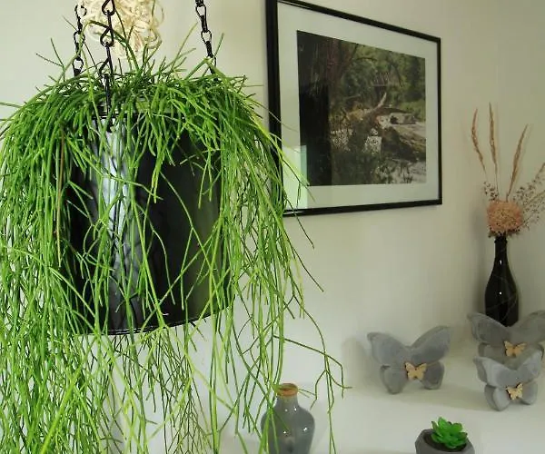 Apartmán Haus Felix Bad Elster